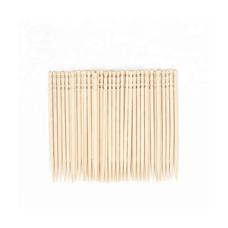 China Made High Quality Disposable Titanium Toothpick