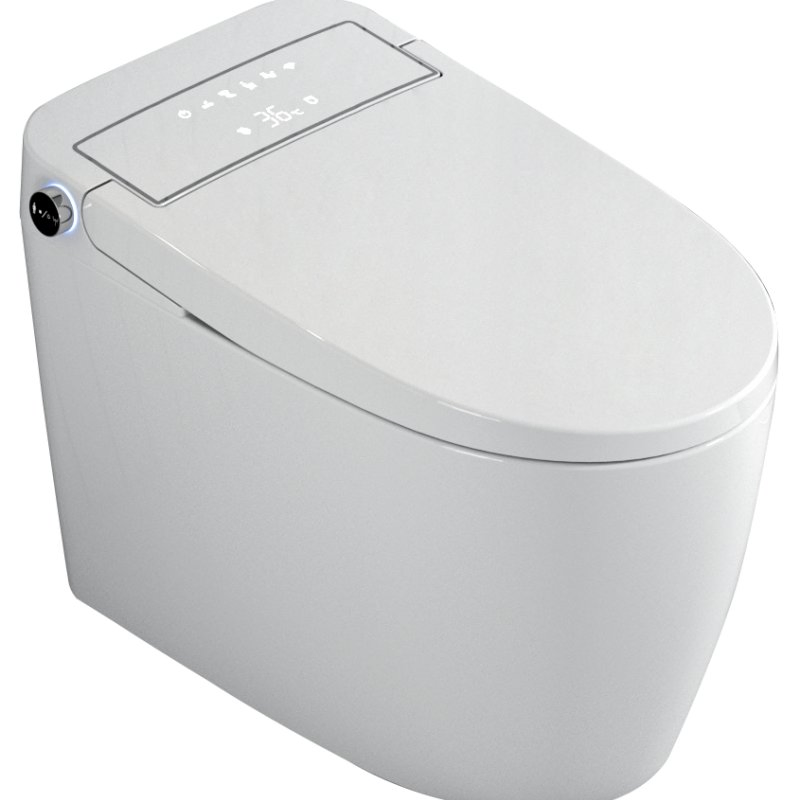 Fashionable Smart Toilet Ceramic Remote Control Intelligent Toilet Seat
