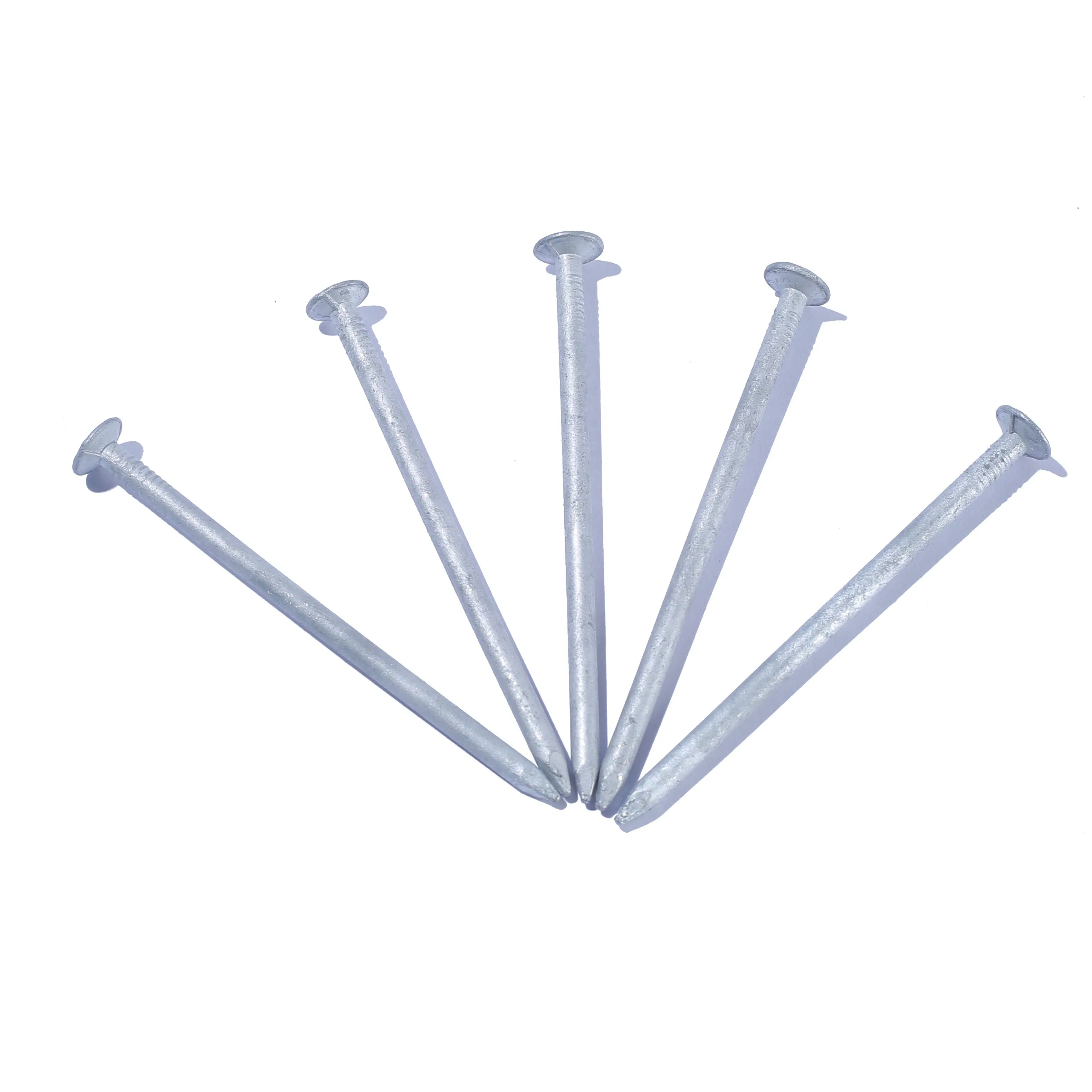 ISO Standard and Iron Material Common Iron Nails