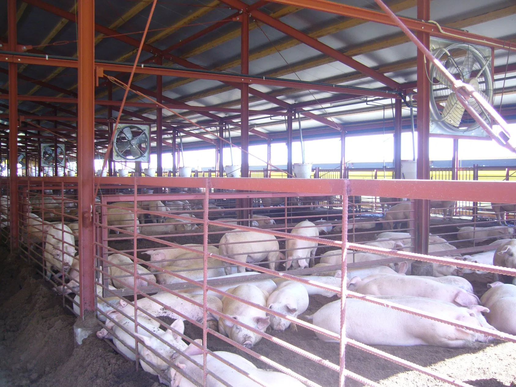 Economic Farm Barn Chicken Sheep Cattle Pig Horse Prefabricated Building Metal Workshop Factory Warehouse Steel Structure Farm Shed