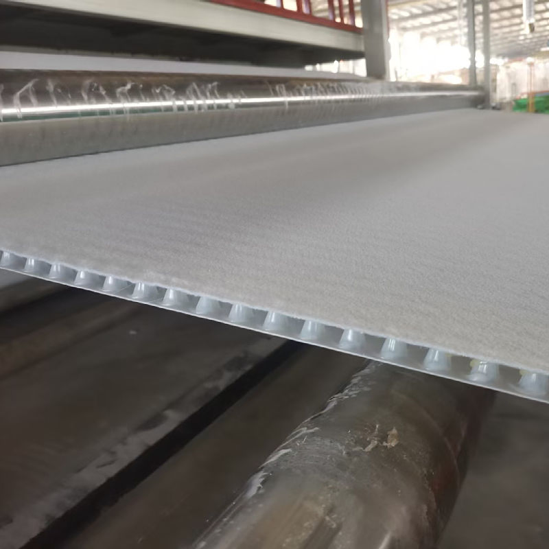 Traditional Waterproof Plastic Dimple Drainage Board for Basement Waterproofing