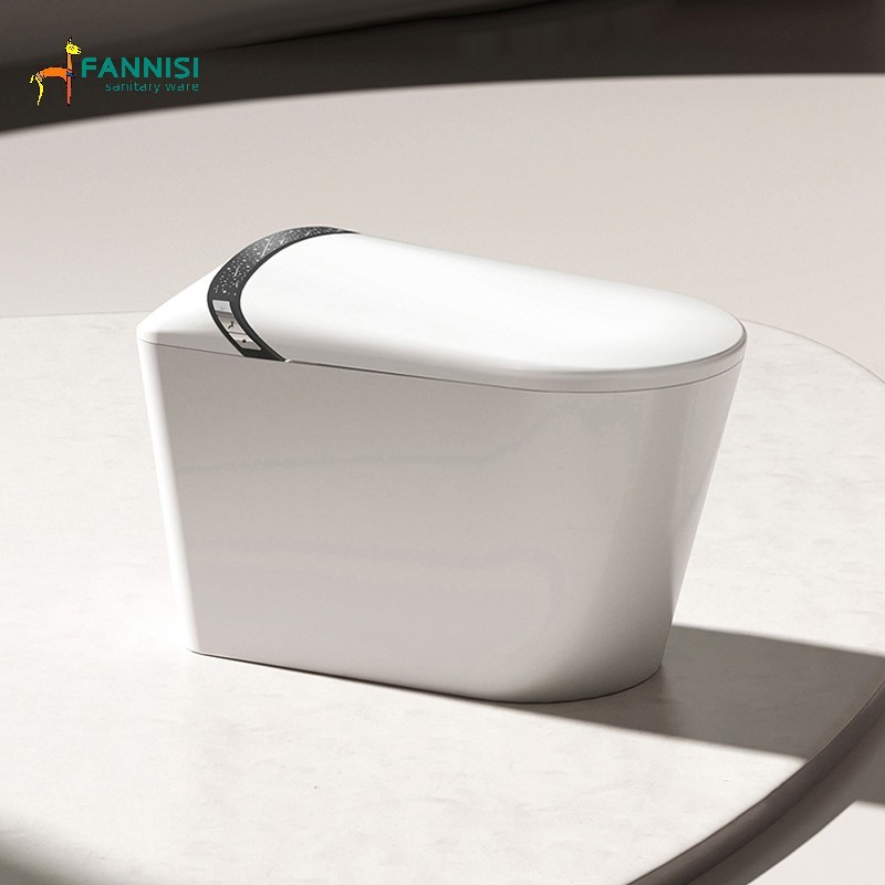 Luxury Smart Toilet Seat Bidet Ceramic Bathroom Toilet Wc Smart Intelligent Toilet