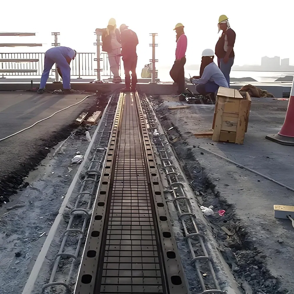 Bridge Damping Elastic Expansion Joint
