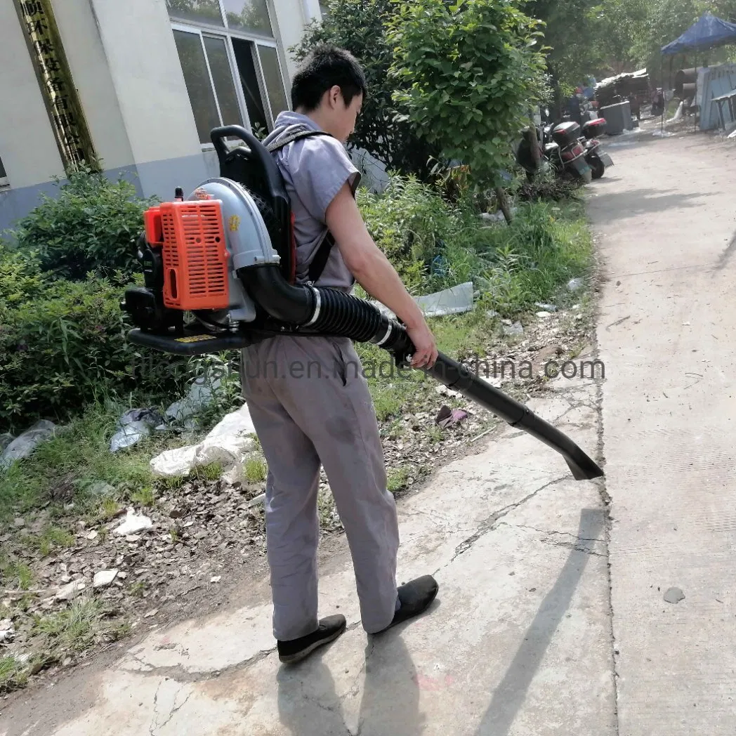 Backpack Leaf Sweeper Snow Blower