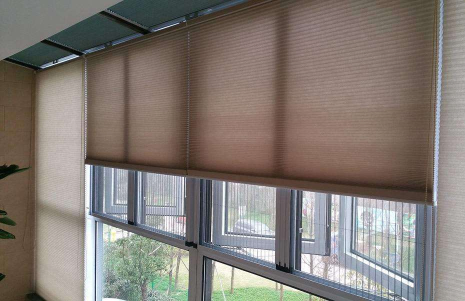Day Night Open Top and Bottom Plisse Honeycomb Blind