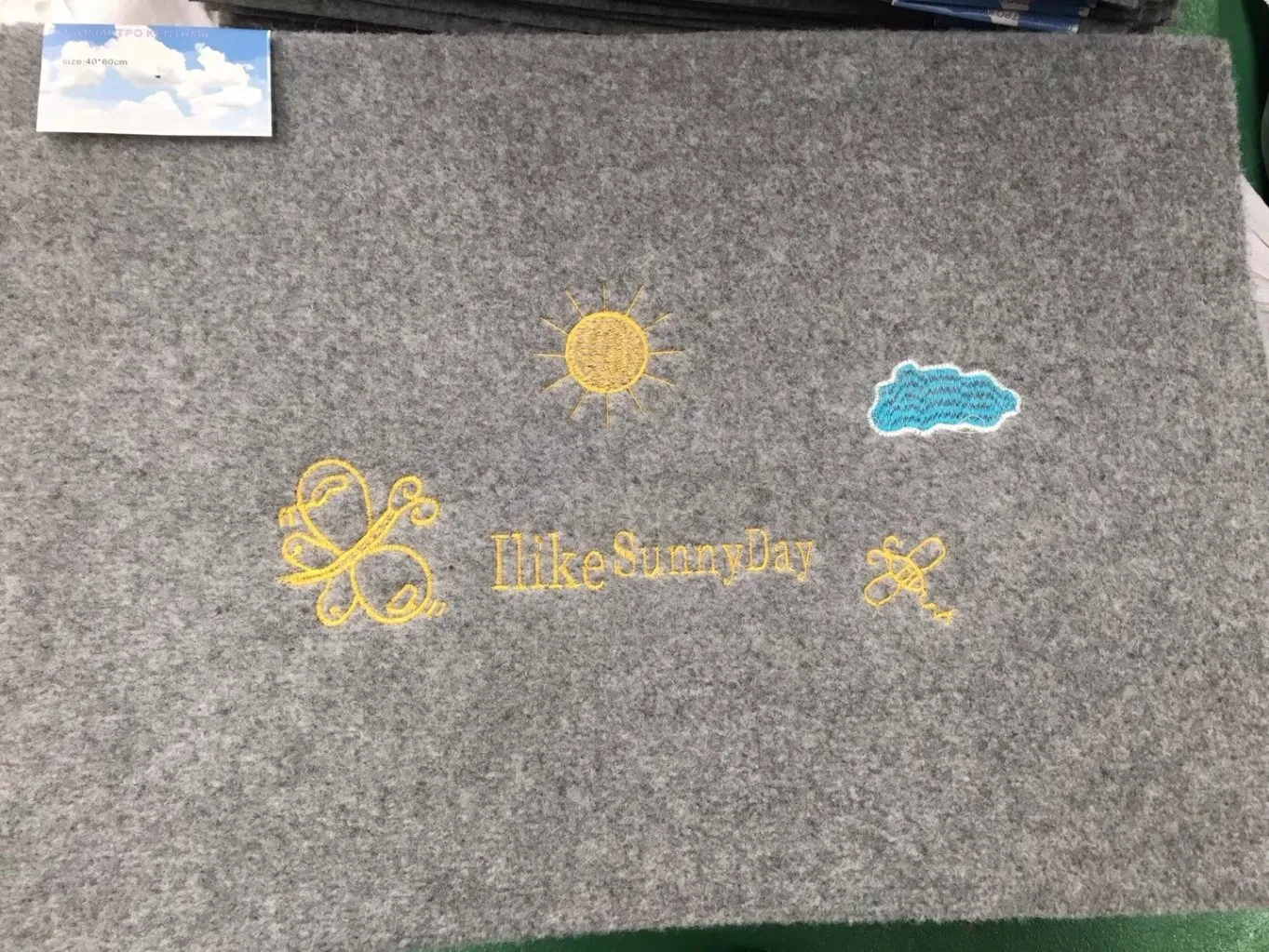 Durable Water Absorbed TPR Backing Doormat for Hallway Kitchen