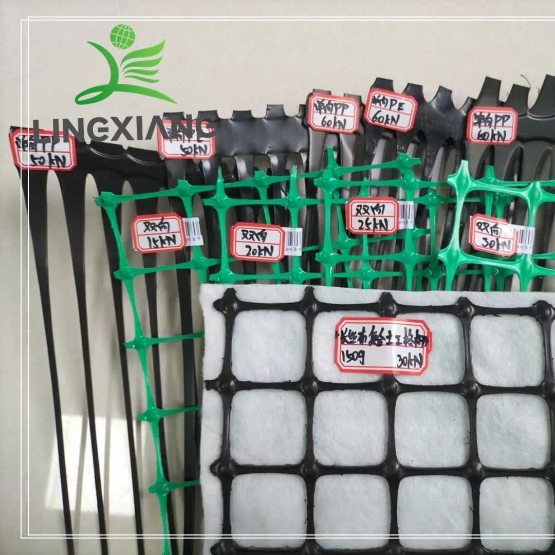 China Factory OEM Geogrid Customizable Specifications Road