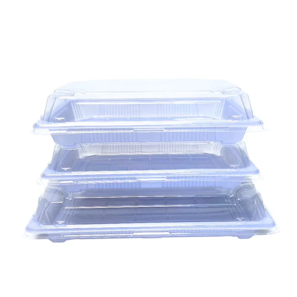 14 Oz Disposable Plastic Food Packaging Sakura Style to Go Sushi Box