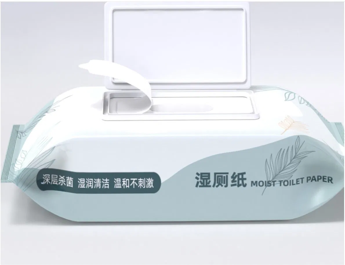 Adult Flushable Clean Cotton Paperwet Wipes for Toilet