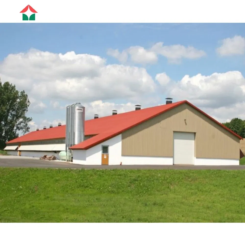 Customized Free Design Metal Frame Steel Construction Prefabricated Prefab Light Steel Structure/Chicken Sheds/Broiler Farm/Poultry Farm