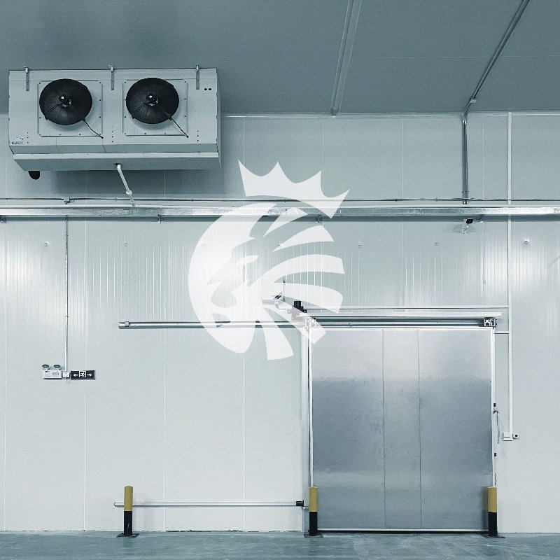 Cold Room Sandwich Panel High Thermal Insulation for Cold Storage