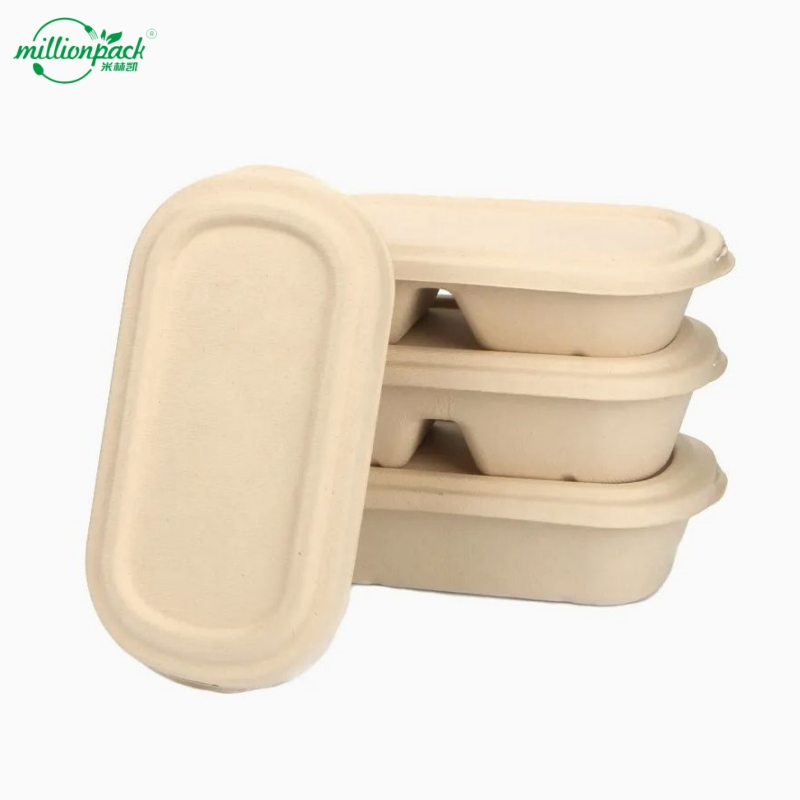 Biodegradable Square 2-Section Box for Salads with Leakproof Barrier