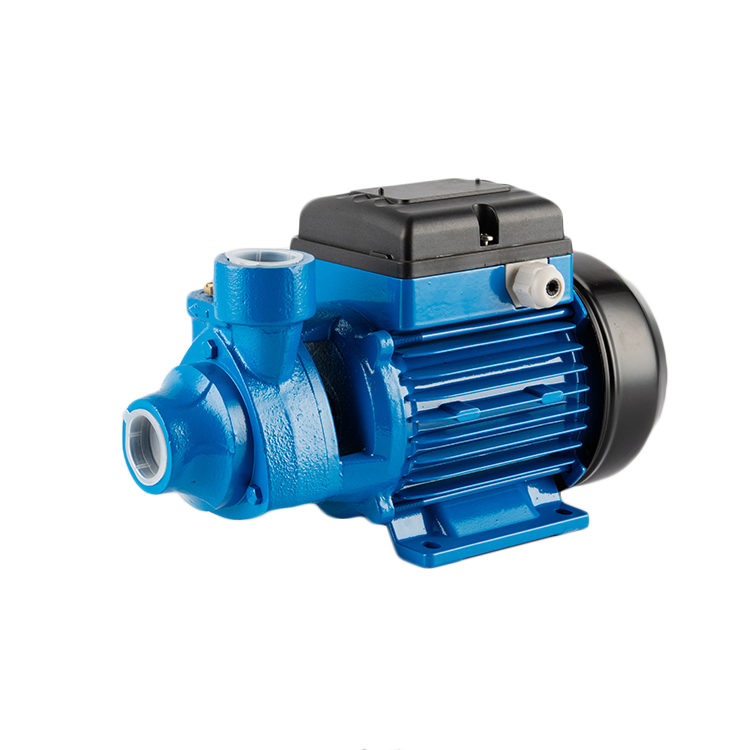 Booster Pumps Home Cast Iron Surface Bomba Qb60 Pm Electric Water Pump