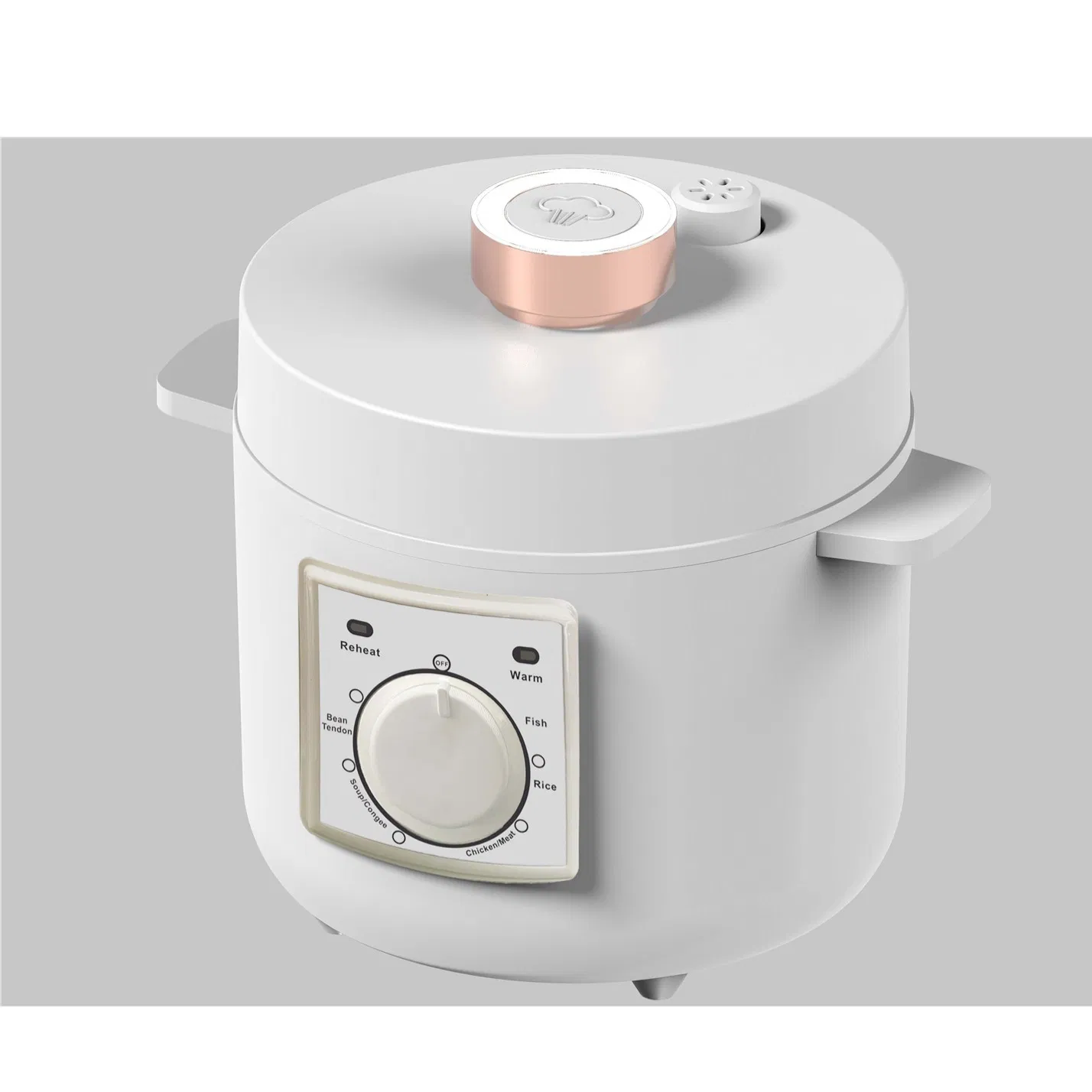 Al-P Series Innovative Kitchen Appliance with Self Cleaning Function and Odor Removal Technology for Fresh Cooking Environment