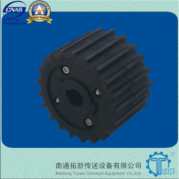 Haasbelts Conveyor Chains Straight Run 821 Plastic Table Top Chain