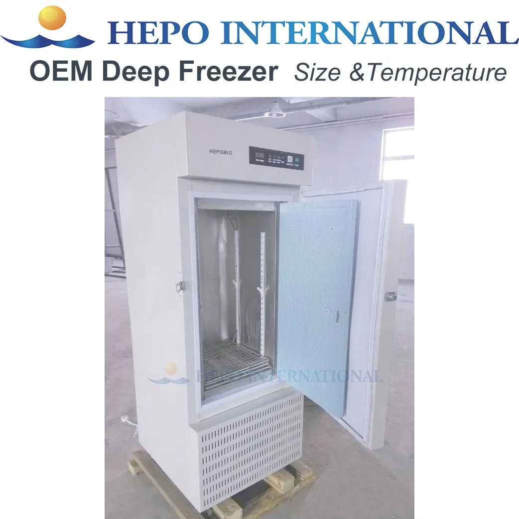 Mini Silent Liquefied Petroleum Gas Absorption Beverage Refrigerator (40L)