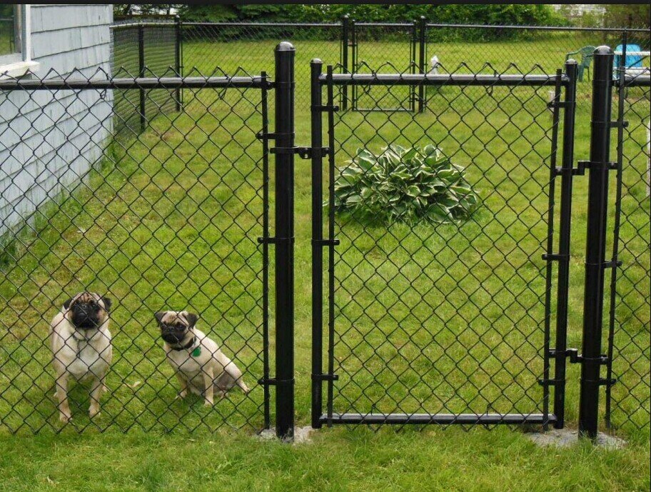 Durable Chain Link Fence for Secure Outdoor Enclosures and Gardens