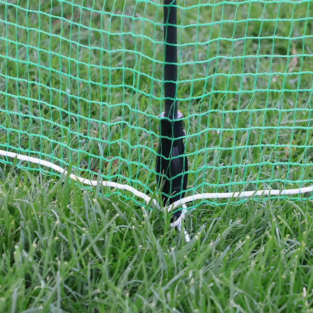 Chicken Fence Netting Poultry Netting