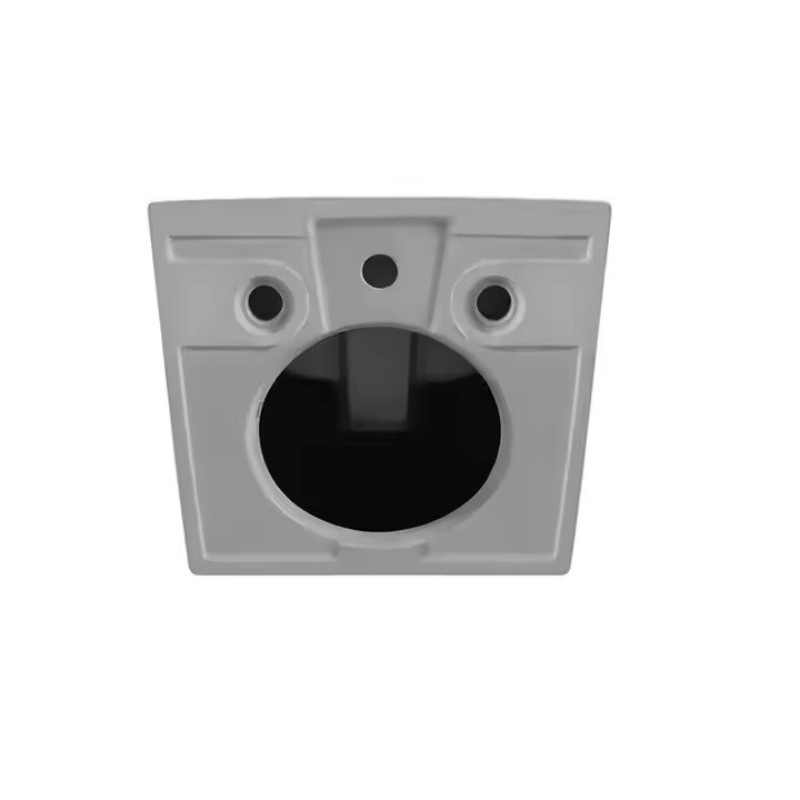 Wall-Hung One-Piece Ceramic Bidet - CE/ISO Certified Hygienic Spray for Modern Bathrooms