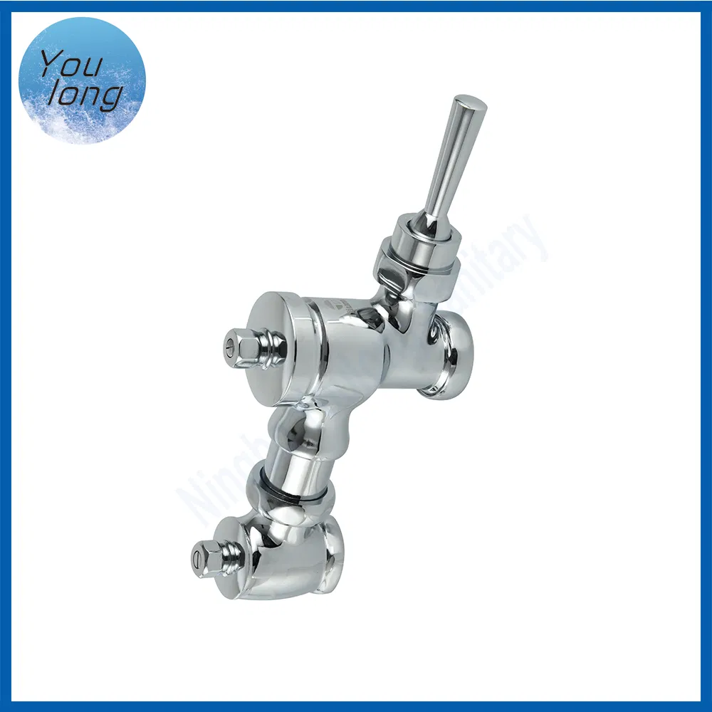 Wall Mounted Bathroom Flush Faucet Brass Time Delay Urinal Toilet Flush Valve