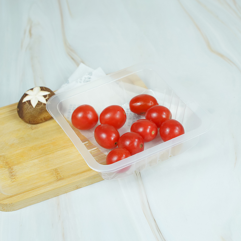 Disposable New PP Plastic Fruit Tray
