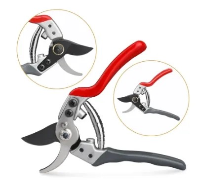 High - Performance Precision Pruning Shears for Delicate Gardens and Intricate Pruning Jobs