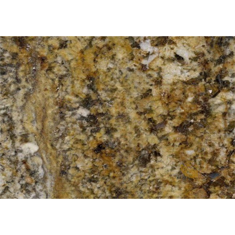 Honed/Polish Bianco Antico Yellow/Gold Granite for Wall/Tiles/Countertop/Vanitytop