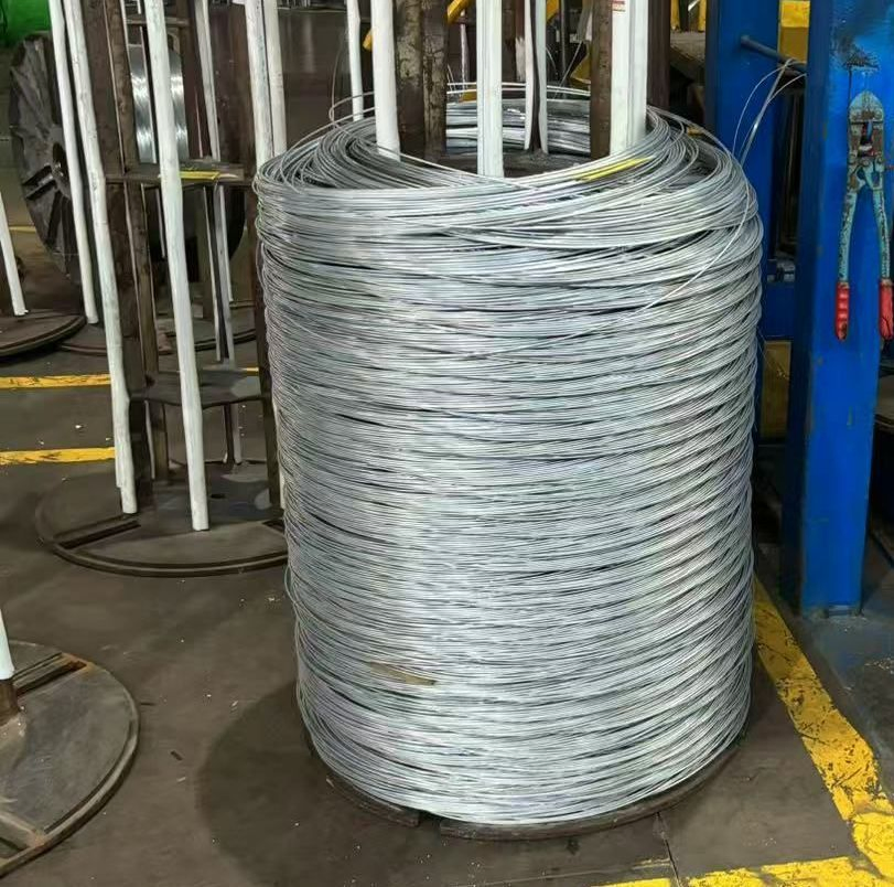 Durable Galvanized Steel Wire for Creative Art Projects