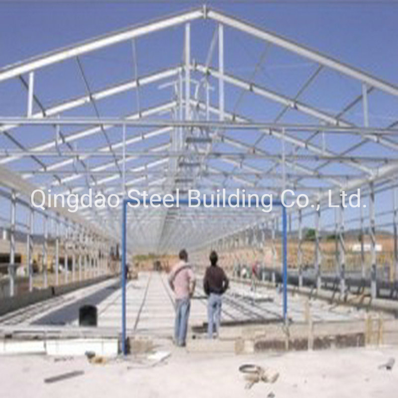 Galvanized Steel Structure Building for Prefabricated Poultry House Chicken Farm Building Supplies Broiler House Shed Design