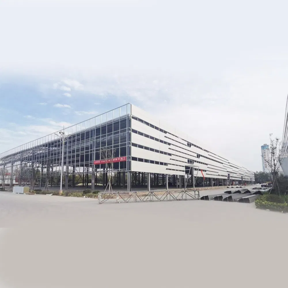Pre Manufactured Custom Built Modular General Steel Insulated Cheap Metal Buildings for Sale
