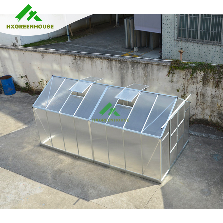 Wrought Iron Planting Sunlight Irrigation System Greenhouse