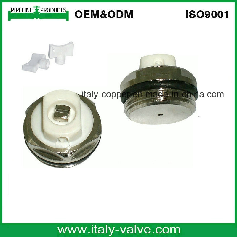 Manual Air Vent Valve/Radiator Valve (AV-R-1005)