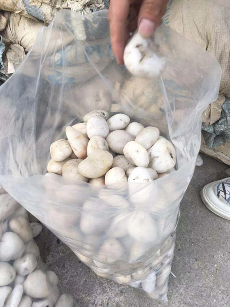 2021 Hot Selling White Polish Pebble Stones River Stone Gravels for Garden Decoration