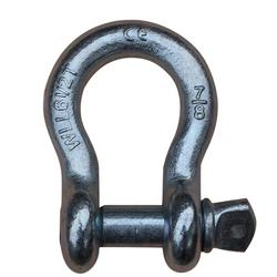 Forged Us Type G209 Bow Shackle with Screw Pin