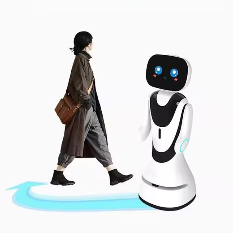 Cute Intelligent Reception School Hotel Exhibition Hall-Timo Service Robot