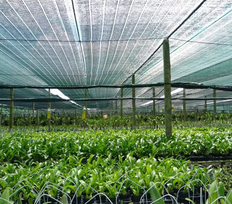 HDPE Plastic Sun Shade Net
