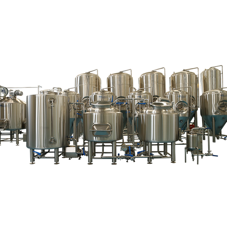 500L Beer Factory Making Beer Equipment