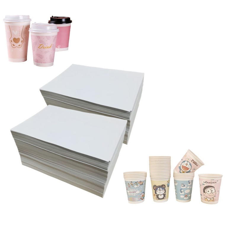 Paper Cup Raw Material Sheet Paper PE Coated 160g 210g 260g