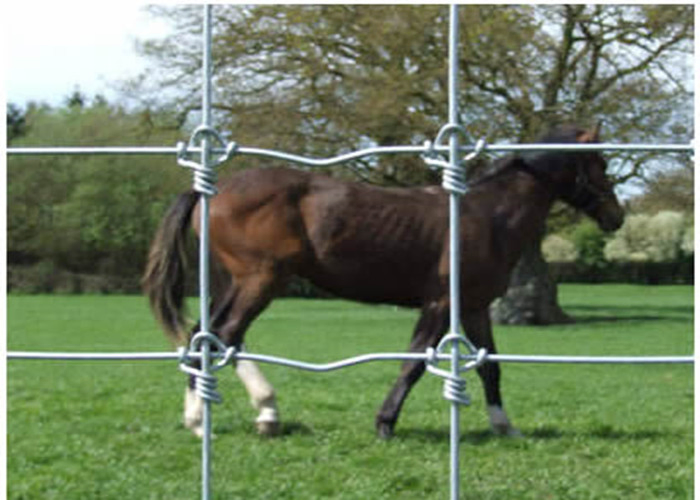 8 FT Galvanized Hinge Joint Knot Field Fence / Kraal Network Anping Supplier