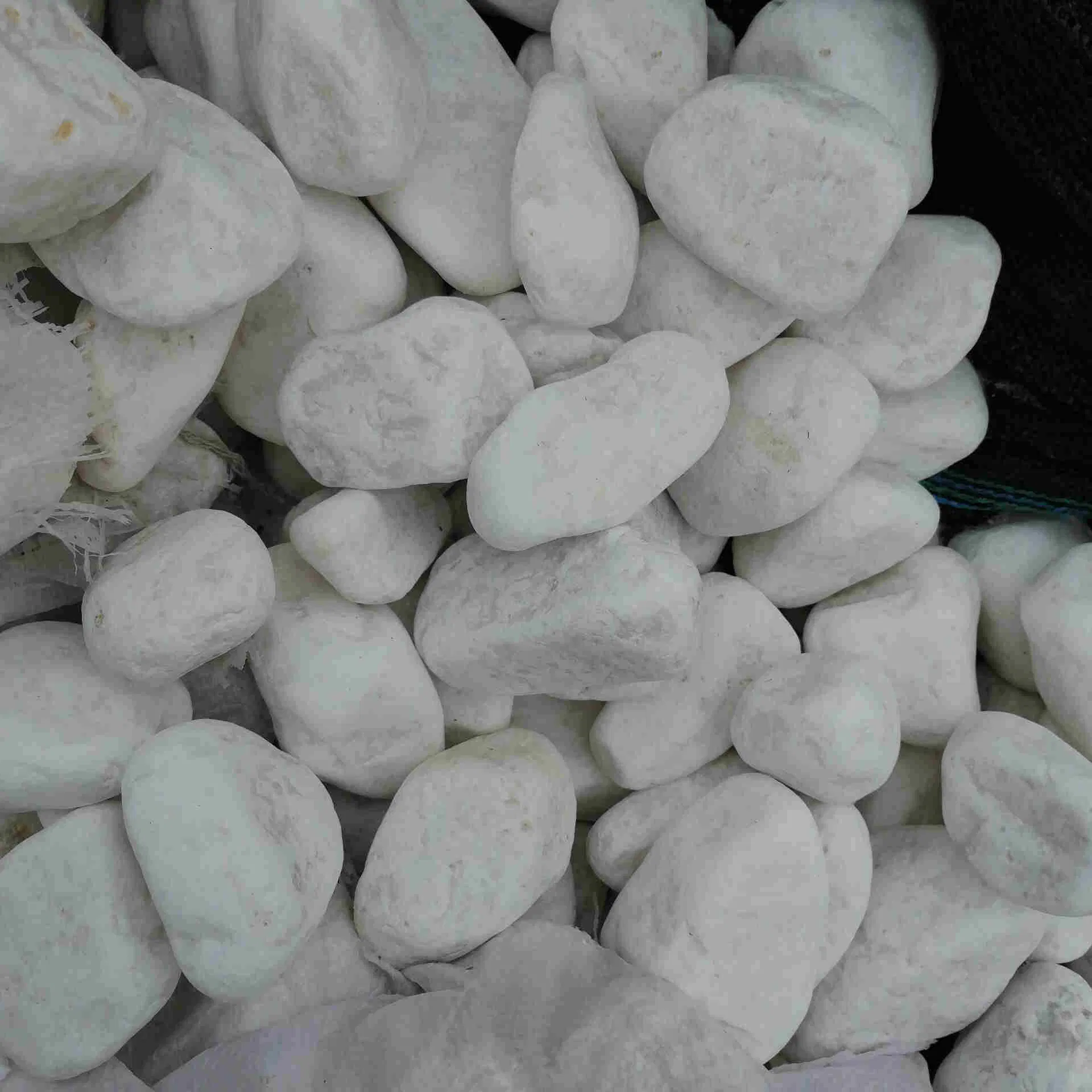 Factory Supply Garden Natural Tumbled Round Snow White Pebble for Sale