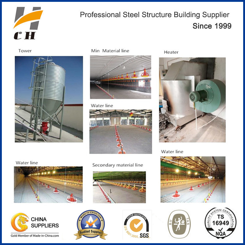 One-Stop Steel Structure Poultry Chicken House