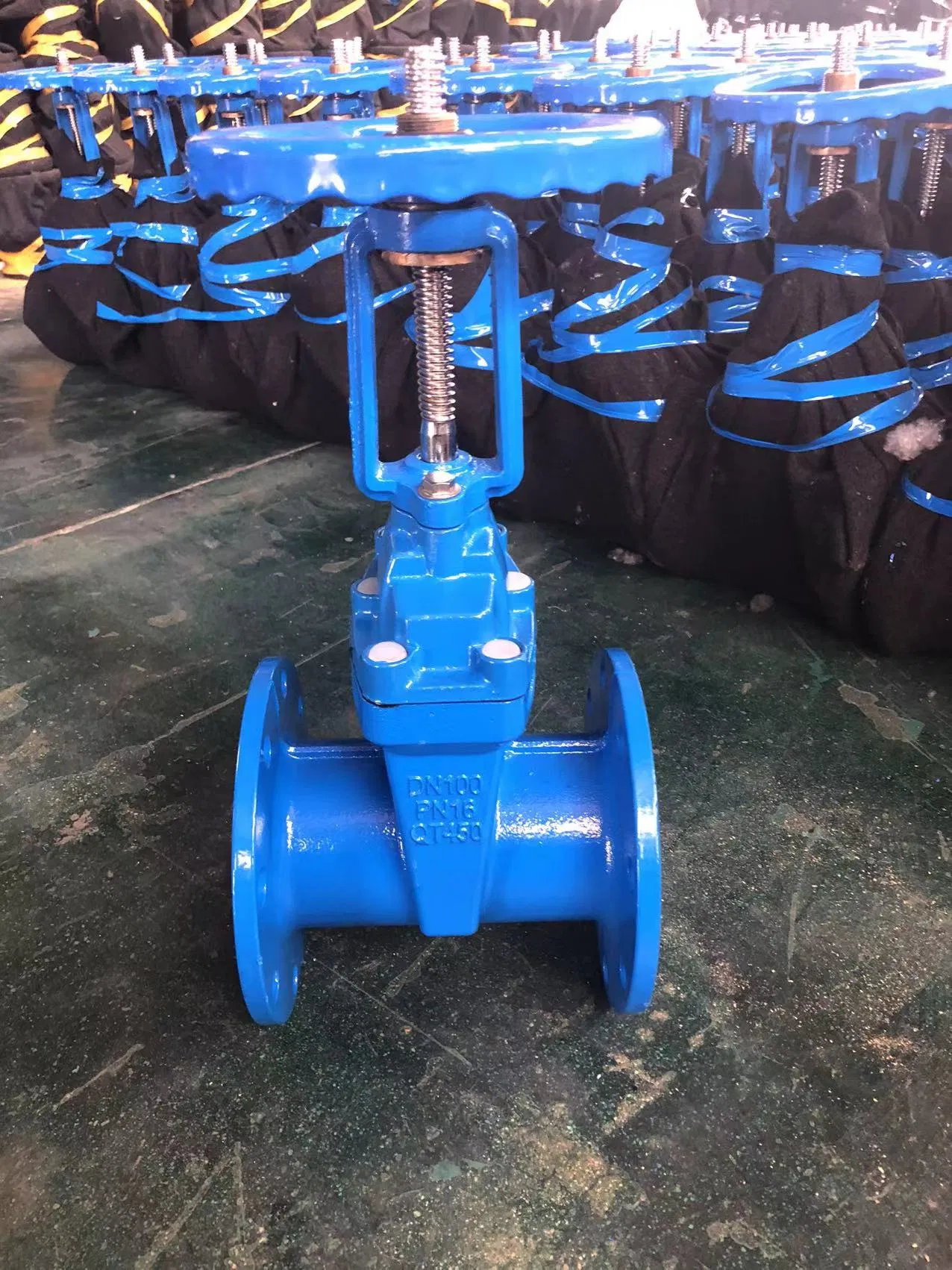 China Manufacturer Cast Iron Cast Steel Resilient Seated Rising Stem Wedge Gate Valve