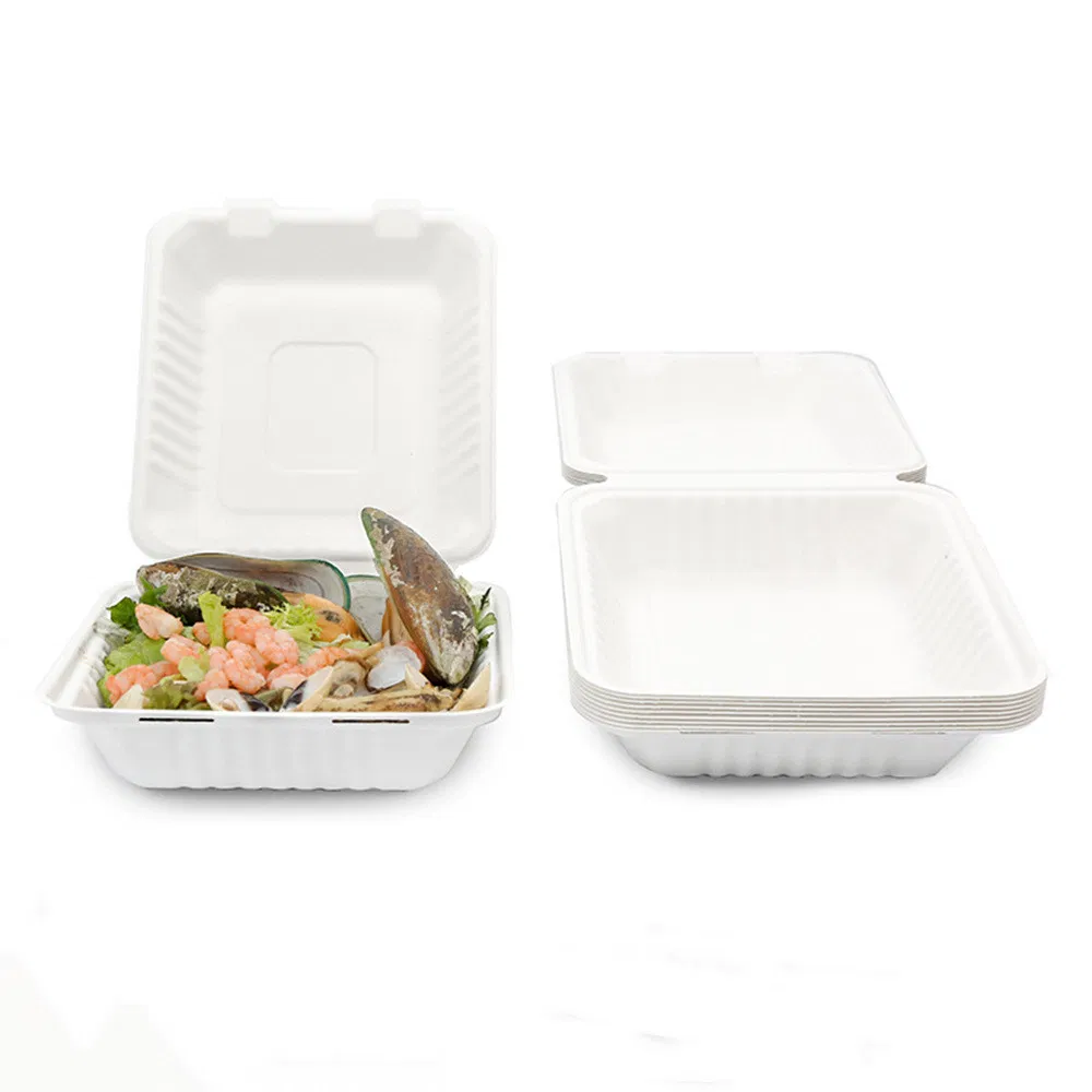 Biodegradable Compostable Clamshell Pulp Bagasse Sugarcane Tableware