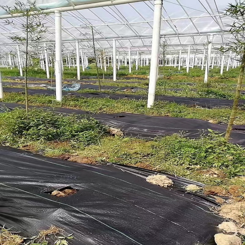 Premium Non-Woven Geotextile Mat for Gardening and Agriculture