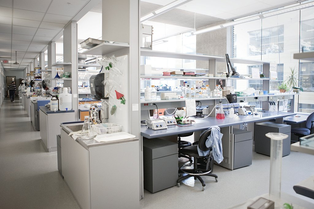 Premium Acrylic Polymer Emulsion for High-Quality Paper Coatings