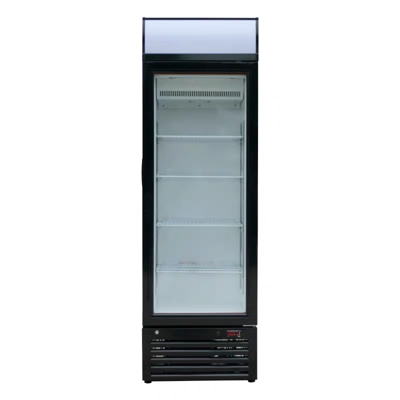 Factory Price 268L Commercial Single Glass Door Ice Cream Showcase Lsd-268