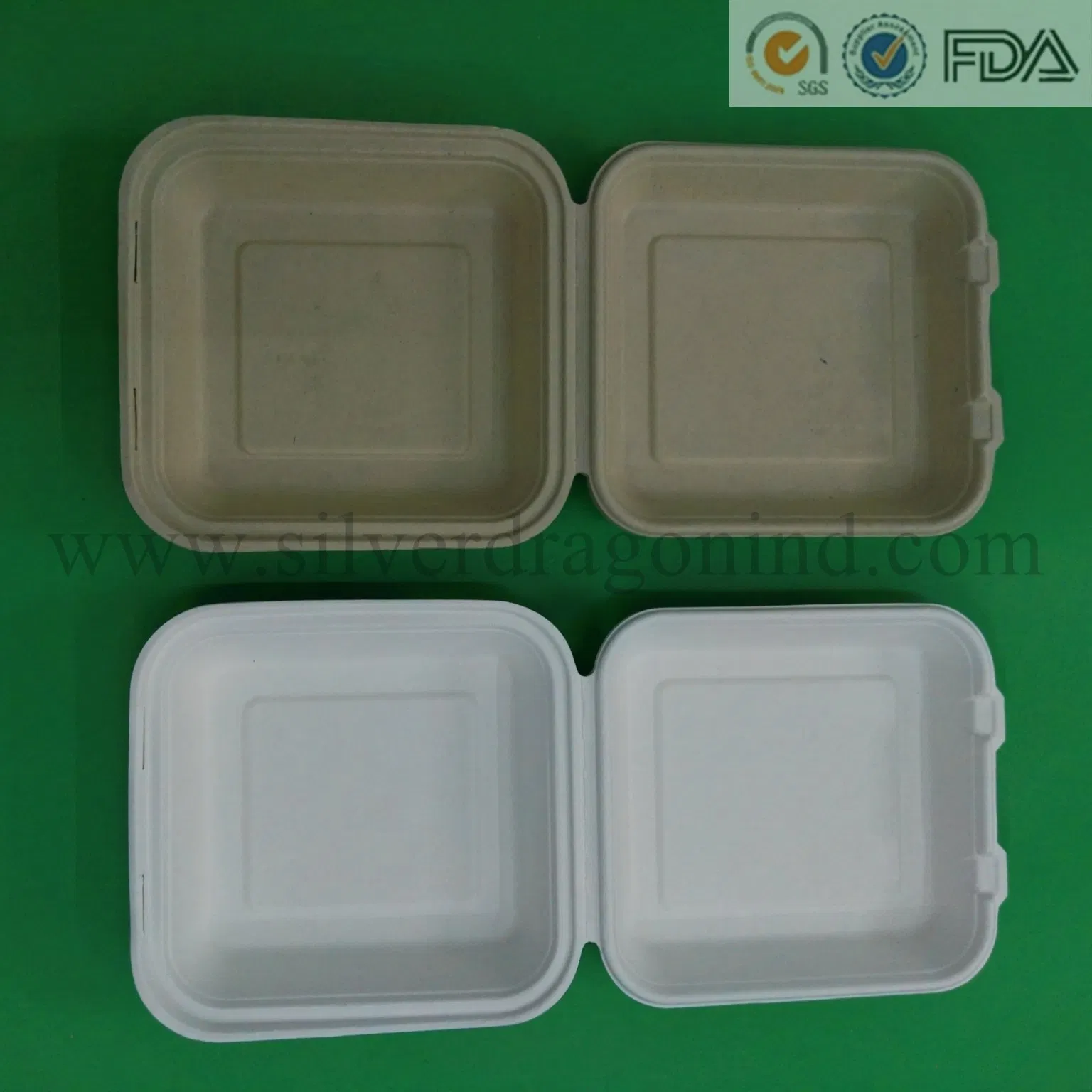 Sugar Cane Pulp Square Plate