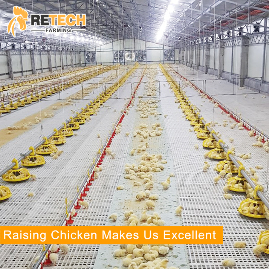 High quality light steel structure commercial poultry house farms for 20000 chickens