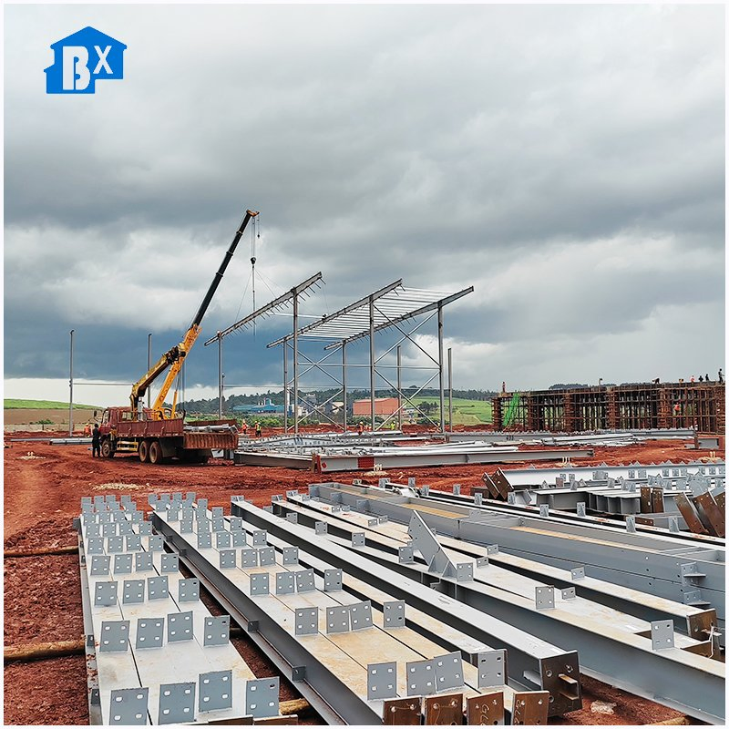 Custom Dimensions Workshop: Tailored Solutions for Your Unique Space Needs Unique Plant Arrangements: Custom Dimensions Workshop Experience for Green Thumbs