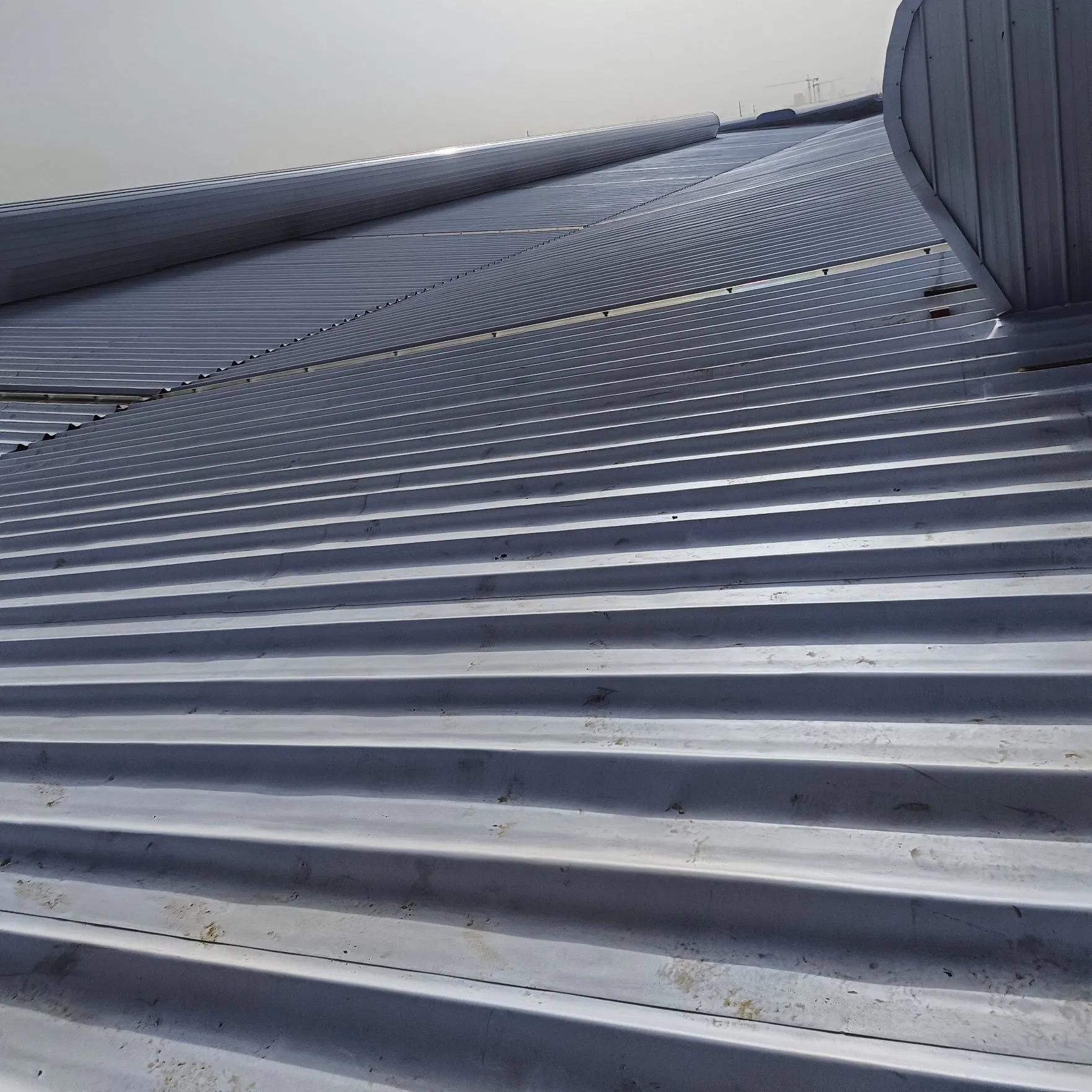 Optional Exposed/Non-Exposed Self-Adhesive Tpo Membrane